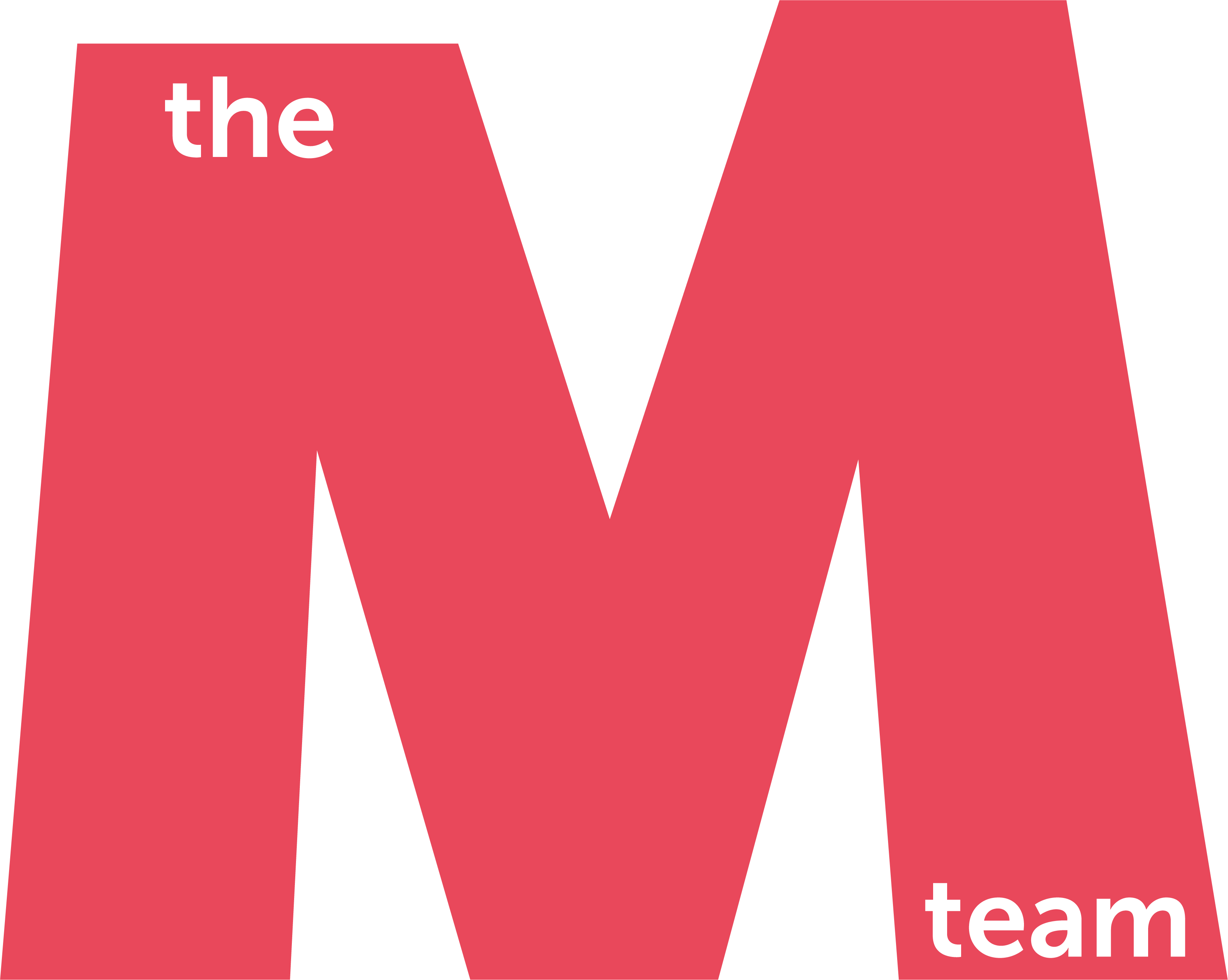 The M Team